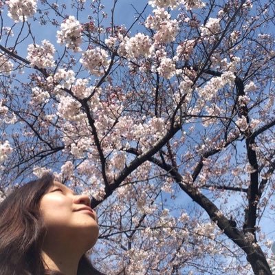 Profile Picture of Jenny Ngo Gui (@usagijen) on Twitter