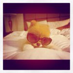 Profile Picture of Jasmine archuleta (@lovemydog13) on Instagram