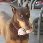 Profile Picture of Greg Bailiff (@greg.bailiff.1) on Facebook