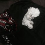 Profile Picture of Jeremy Haas (@jayehb419) on Instagram