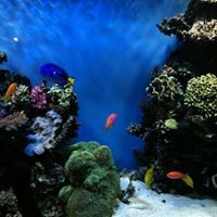 Profile Picture of Maria Vindiola (@maria-vindiola-1) on Quora