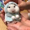 Profile Picture of BIANCA DOBOŞ (@bianca.dobos) on Tiktok