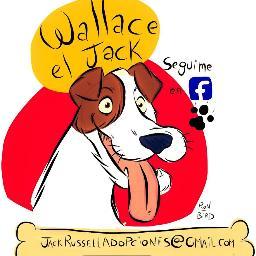 Profile Picture of Wallace El Jack (@wallace_el_jack) on Twitter