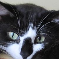 Profile Picture of Lucy Samuel (@lucy-samuel-11) on Quora