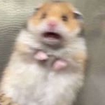 Profile Picture of EE-dith (@edithisoneboringmf) on Instagram