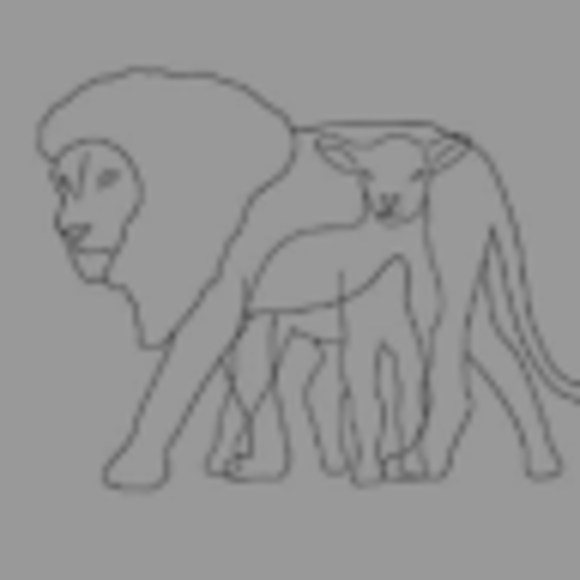 Profile Picture of Antigone Knetter (@antigoneviola) on Poshmark