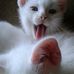 Profile Picture of Nancy Looby (@nancy.looby.54) on Facebook