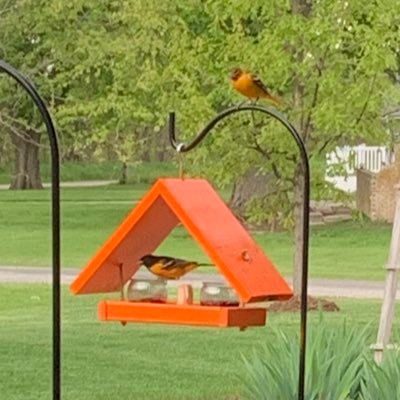 Profile Picture of Jeff (@jeffFugate8) on Twitter