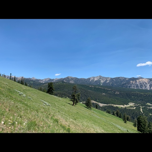 Profile Picture of Louise Clemens (@lclemens11) on Poshmark