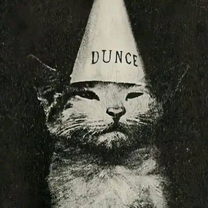 professional white boy - Tiktok Profile Picture of professional white boy (@dannydagger1) on Tiktok