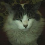 Profile Picture of Eric Jacot (@jacoteric) on Instagram