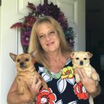 Profile Picture of Tracy Cates (@tracycates5) on Instagram