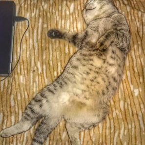 Profile Picture of Артем (@LAnHyGyNXUgWz91) on Twitter