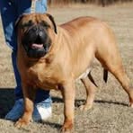 Profile Picture of Larry Klause (@Larry-Klause) on Facebook