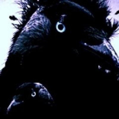 Profile Picture of JoeVILE (@VileJoe) on Twitter