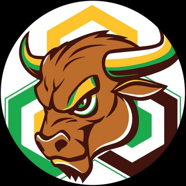 Profile Picture of Calvin Hill (@b.lockchainbullhorn) on Tiktok