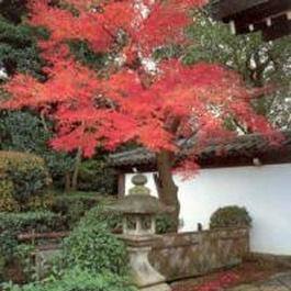 Profile Picture of Mark Franken (@Mark-Franken) on Facebook