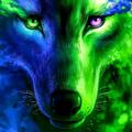 Profile Picture of Curtis Shirley260 (@@user2211329486228) on Tiktok