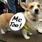 Charlie Roadfeldt - Instagram Profile Picture of Charlie Roadfeldt (@charlieroadfeldt) on Instagram