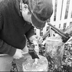 Profile Picture of Matt Shipp (@earthteatrees) on Instagram