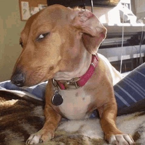 Iannis.petropoulos - Tiktok Profile Picture of Iannis.petropoulos (@_petrop__) on Tiktok