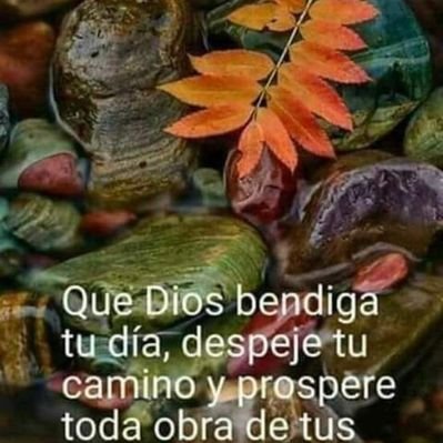 Profile Picture of Yolanda Mancilla Pulido (@pulido_mancilla) on Twitter