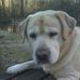 Profile Picture of Robert Mac Almond (@robert.m.almond) on Facebook