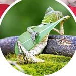 Profile Picture of EVAN HEAD (@killec55) on Instagram