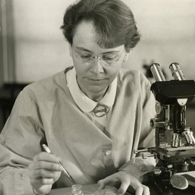 Profile Picture of Barbara McClintock (@amaizeingebm602) on Twitter