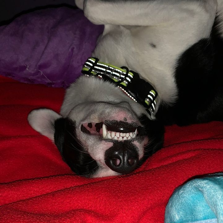 Profile Picture of Jason Neal (@jason.neal) on Tiktok