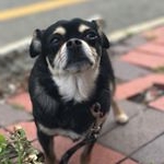 Profile Picture of Josephine Gambutti-Flores (@moodyjosie) on Instagram