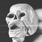 Profile Picture of Thomas Tucci (@tucciisgucci) on Instagram