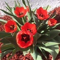 Profile Picture of Maxine Watts Ruymar (@maxine-watts-ruymar) on Quora