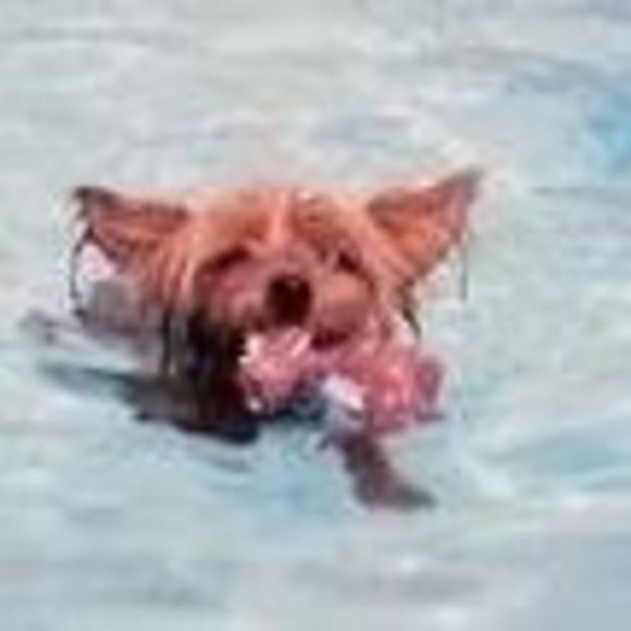 Profile Picture of Kyler Valerius (@sosiei) on Poshmark