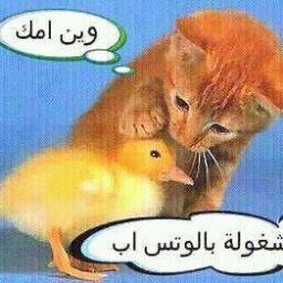 Nicolas Hanna - Twitter Profile Picture of Nicolas Hanna (@nicolashanna4) on Twitter