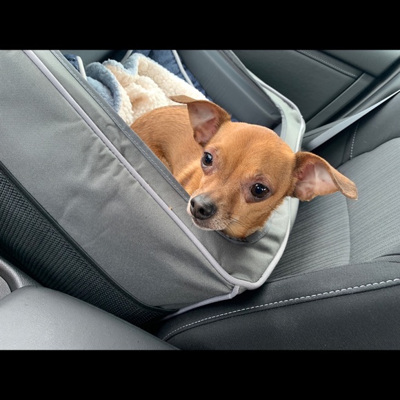 Profile Picture of Kelly Aroney (@karoney63) on Poshmark