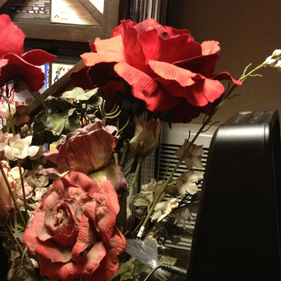 Rosemary Silva - Poshmark Profile Picture of Rosemary Silva (@rosemarysilva) on Poshmark