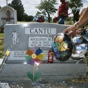 Profile Picture of Apolonio Cantu (@apolo62) on Myspace