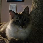 Profile Picture of Scott Jarry (@scottjarry) on Instagram