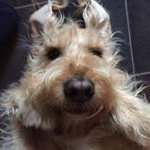 Profile Picture of ruby (@rubyottawaypriv_) on Instagram