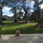 Profile Picture of Paul (@paulcollica) on Instagram