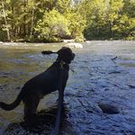 Marc Beauparlant - Instagram Profile Picture of Marc Beauparlant (@merckk13) on Instagram