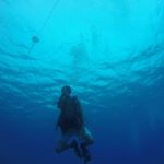 Profile Picture of Conor Gorman (@conorgorman1) on Instagram