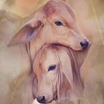 Profile Picture of Vijay Malik (@vijay_malik_001) on Instagram