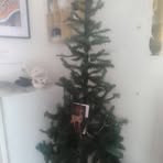 Profile Picture of Marlene Ryder (@Marlene-Ryder) on Facebook