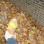 Profile Picture of Adnil_ (@adnil_) on Flickr