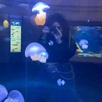 Profile Picture of Lee Zer (@lee-zer) on Quora