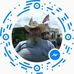 Profile Picture of Karl Moe (@karl.moe.31) on Facebook