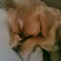 Profile Picture of Shari Mcgee (@shari-mcgee-1) on Quora