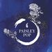 Profile Picture of Paisley Pop Shop (@PaisleyPopShop) on Pinterest